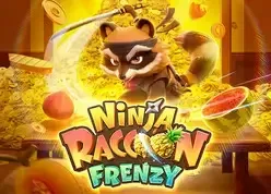 Ninja Raccoon Frenzy
